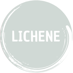 Lichene