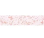 Puntnato Rosa - +15%
