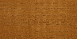 48 Quercia medio